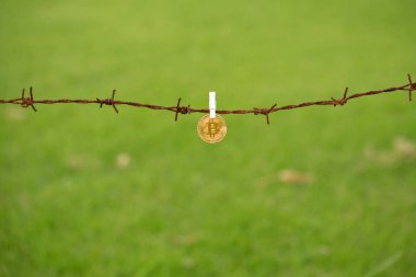 altın sikke yeşil arka plan, Bitcoin ipte asılı clothespin ile yakından görmek