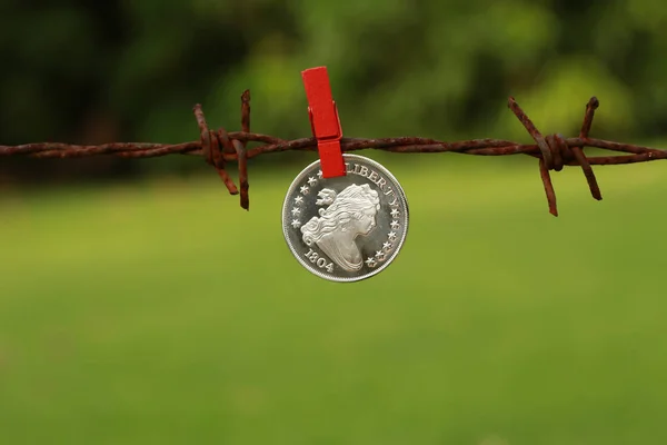 Close View 1804 Dollar Coin Hanging Clothespin Outdoor — Stock Photo, Image