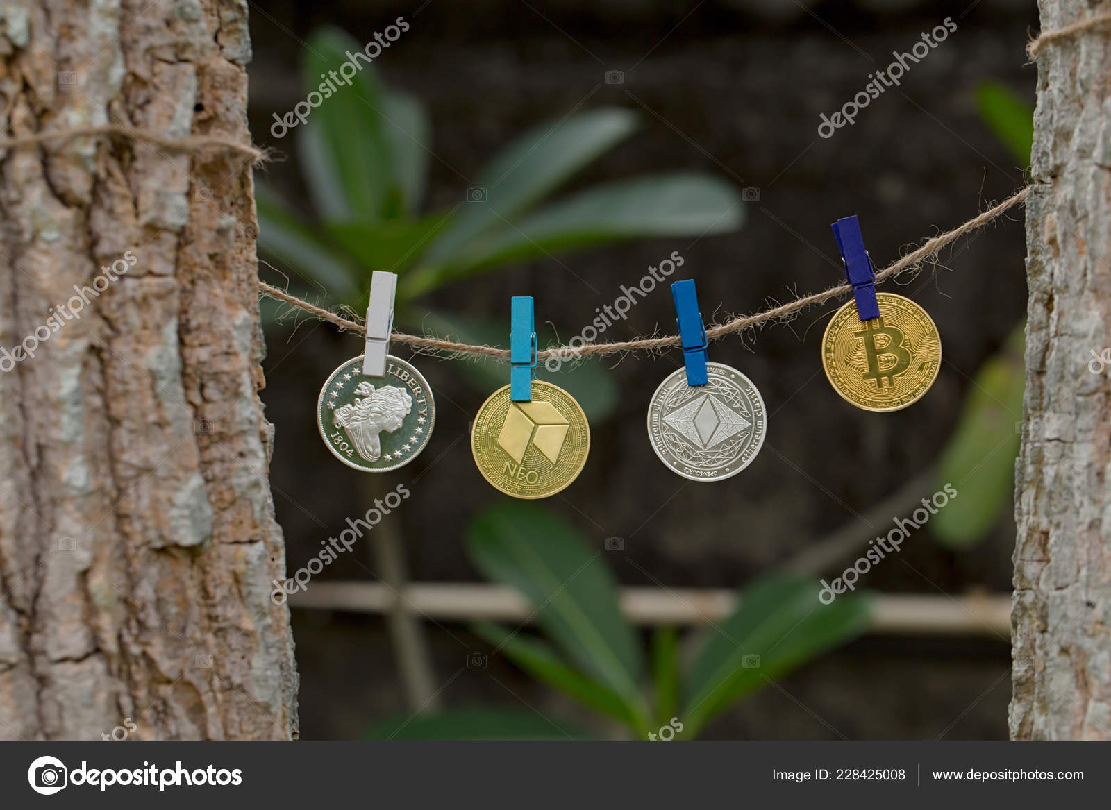 Liberty Neo Fork Bitcoin Crypto Coins Hanging Pins Rope — Stock Editorial  Photo © migelradriges #228425008
