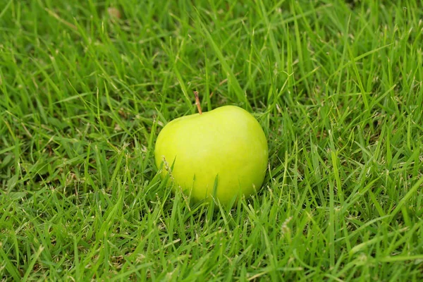 Manzana Fresca Recogida Sobre Hierba Verde — Foto de Stock