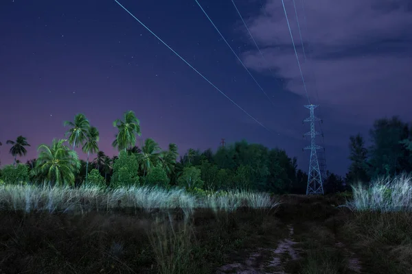 Над Електричною Лінією Пишною Тропічною Рослинністю Вночі — стокове фото