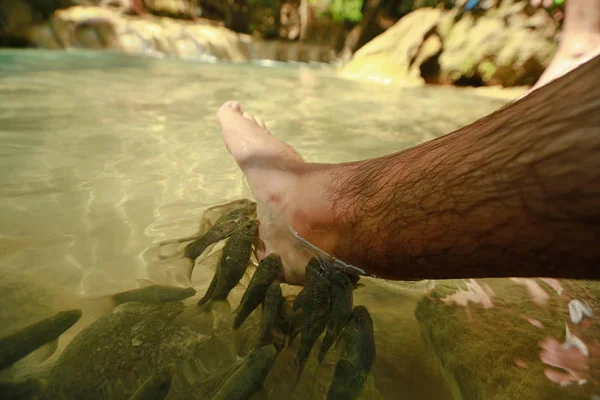 Male foot and fish in clear water, close up view