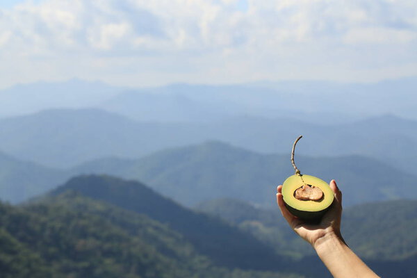 hand holding avocado half against mountain landscape