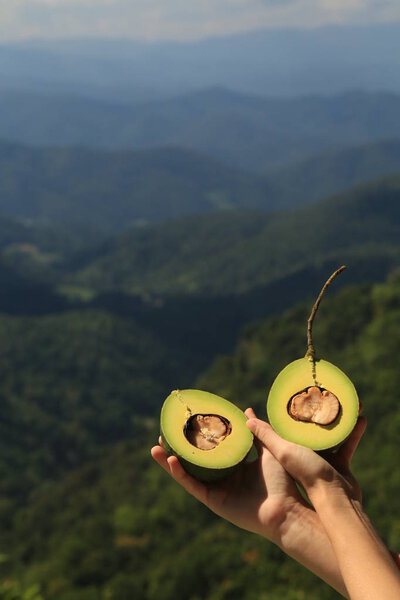 hands holding avocado halves against mountain landscape
