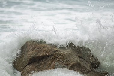 Taş, portre, deniz dalgaları spalshing