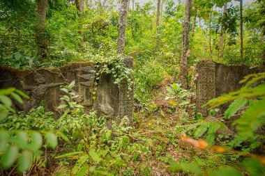 eski harabe binada orman, Phuket, Tayland
