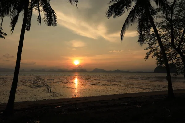 View Sea Coastline Palm Trees Sunset — Stock Photo, Image