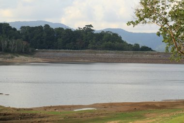 nehir ve orman ile güzel doğanın görünümü 