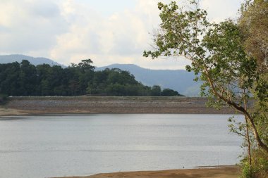 nehir ve orman ile güzel doğanın görünümü 