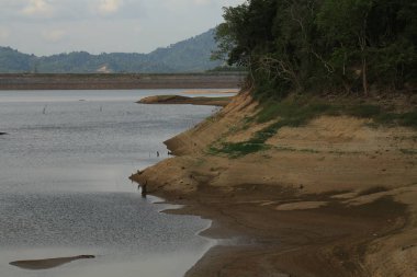 nehir ve orman ile güzel doğanın görünümü 