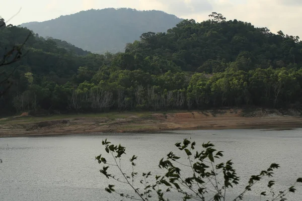 Vista Hermosa Naturaleza Con Río Bosque — Foto de Stock