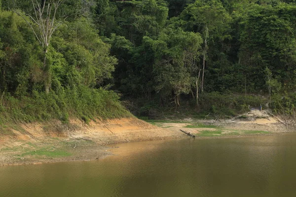 Vista Bela Natureza Com Rio Floresta — Fotografia de Stock