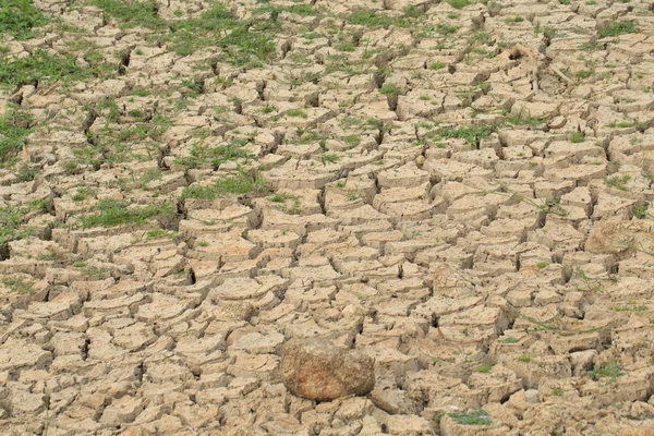 Terre Fissurée Sèche Avec Herbe Verte — Photo