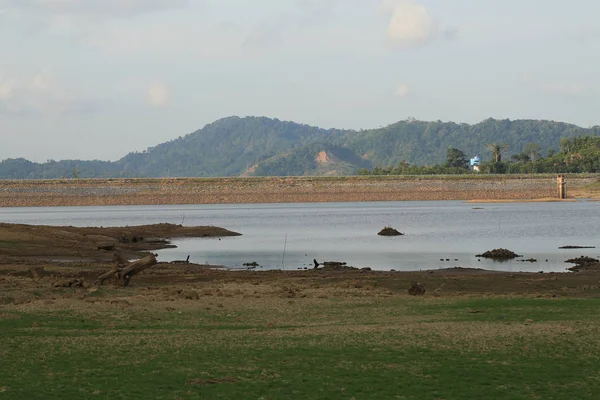 Vista Bela Natureza Com Rio Floresta — Fotografia de Stock