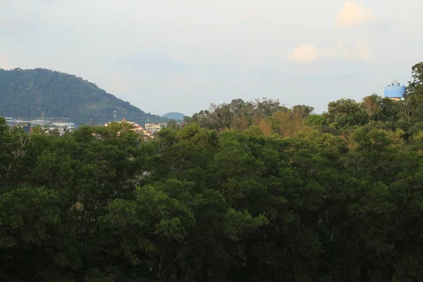 Вид Красивые Горы Зелеными Деревьями — стоковое фото