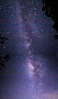 parlayan yıldızlarla gece gökyüzü görünümü 