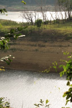 nehir ve orman ile güzel doğanın görünümü 