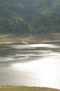 nehir ve orman ile güzel doğanın görünümü 