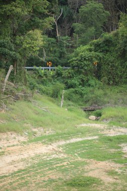 yeşil ağaçlar ve çim ile güzel doğa