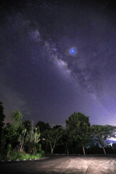Blick Auf Den Nachthimmel Mit Leuchtenden Sternen — Stockfoto