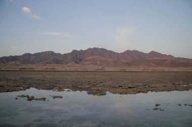 yeşil ağaçlar ile güzel dağların görünümü