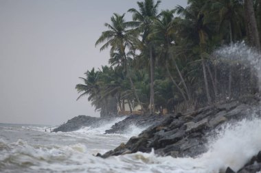 Tropikal egzotik sahillerde palmiye ağaçları ile fırtınalı hava