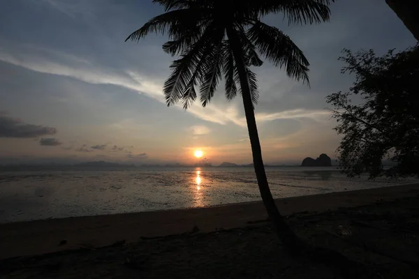 View Sea Coastline Trees Sunset — Stock Photo, Image