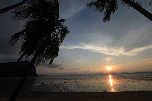 Vista Costa Con Árboles Atardecer — Foto de Stock