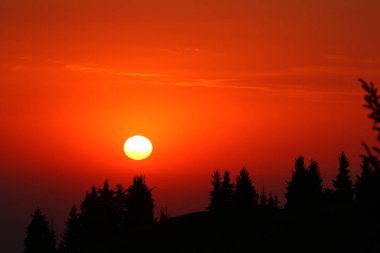 güzel ağaçlar ve turuncu günbatımı ile gökyüzü nün görünümü  