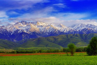 yeşil ağaçlar ile güzel dağların görünümü