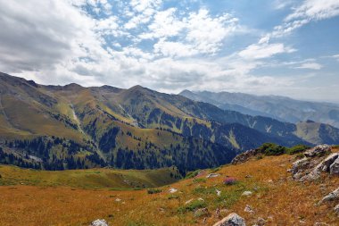 yeşil ağaçlar ile güzel dağların görünümü