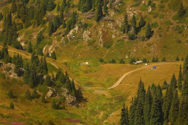 yeşil ağaçlar ile güzel dağların görünümü