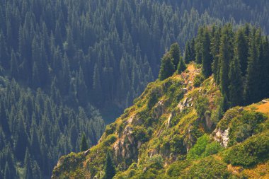 yeşil ağaçlar ile güzel dağların görünümü