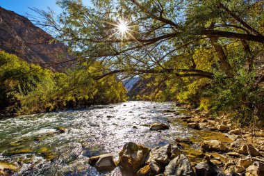 yeşil ağaçlar ve nehir ile güzel dağların görünümü