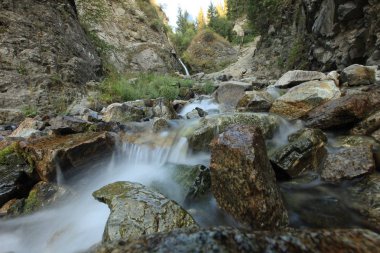 yeşil ağaçlar ve nehir ile güzel dağların görünümü