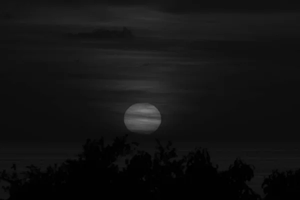 Paisaje Abstracto Blanco Negro Puesta Luna Sobre Bosques Oscuros — Foto de Stock