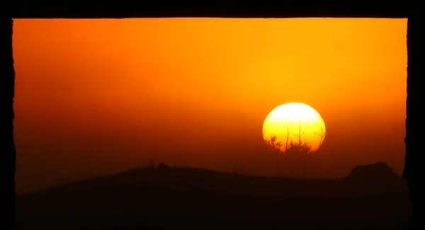 Uitzicht Hemel Met Prachtige Bomen Oranje Zonsondergang — Stockfoto