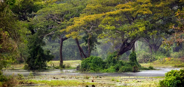 Vista Hermosas Montañas Con Árboles Verdes — Foto de Stock