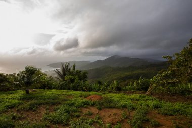 yeşil ağaçlar ile güzel dağların görünümü