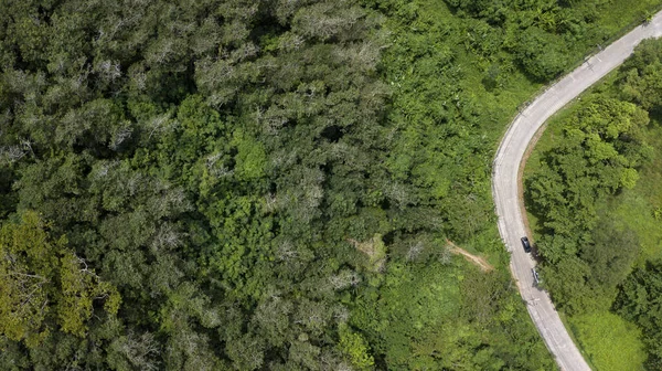 road in the jungle day from above