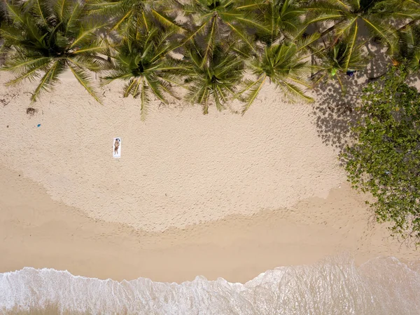 Plaje Tropicale Palmieri — Fotografie, imagine de stoc