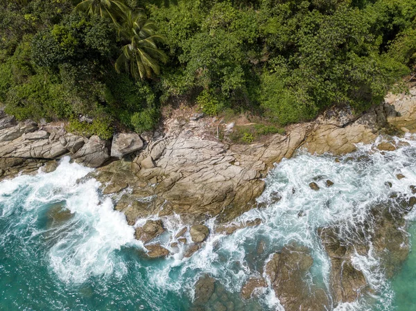 Plaje Tropicale Palmieri — Fotografie, imagine de stoc