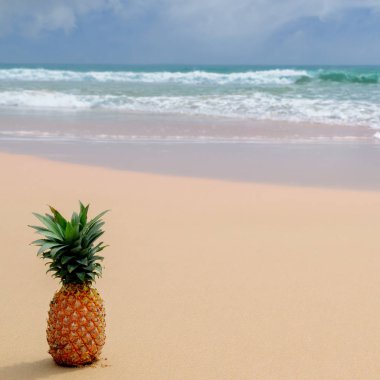 Sahilde taze ananas. Tropikal yaz sevindirdi. Metin için boş alan.