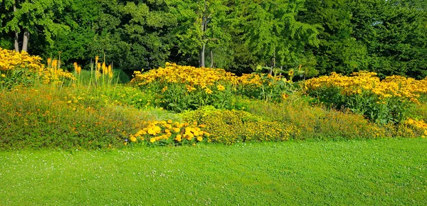 Güzel Çiçek Yatak Ile Yaz Park Parlak Güneşli Bir Günde — Stok fotoğraf