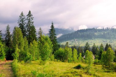 Dağlar, iğne yapraklı ağaçlar ve akşam gökyüzünde bulutlar yamaçları. Pitoresk ve muhteşem sahne. Yer yer Karpat, Ukrayna, Europe. Kavram ekoloji koruma. Dünyanın güzelliği keşfetmek.