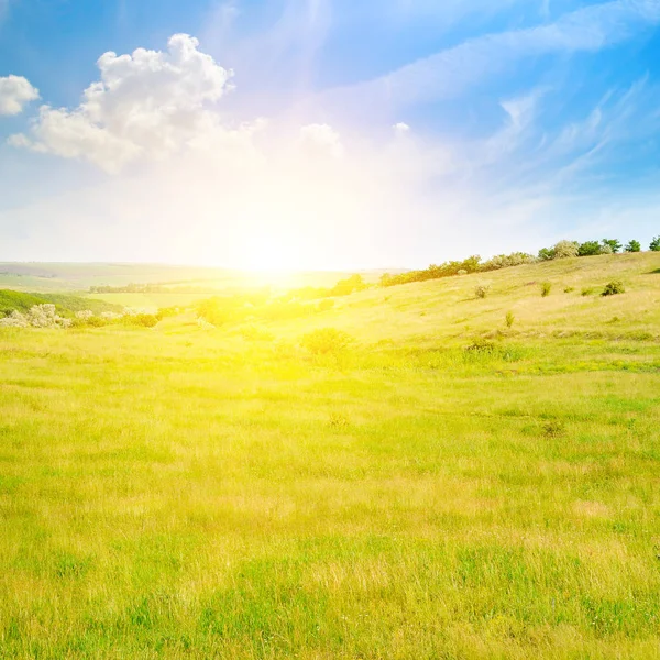 Hilly Green Fields Sunrise Blue Sky Agricultural Landscape — Stock Photo, Image