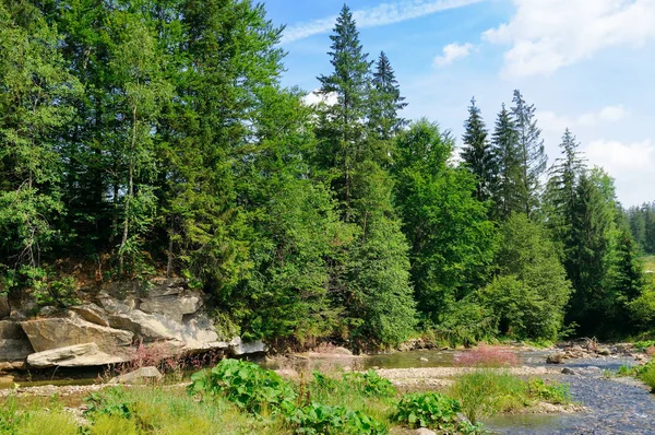 Gebirgsfluss Und Nadelwald Einem Felsigen Ufer Malerische Und Wunderschöne Szene — Stockfoto