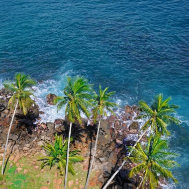 Mercan, palmiye ağaçları ve lagün plaj tropikal okyanus. Yukarıdan, deniz feneri yükseklikten görüntülemek.