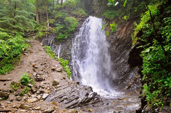 Cascada Los Cárpatos Naturaleza Parte Ucraniana Las Montañas Cárpatos —  Fotos de Stock