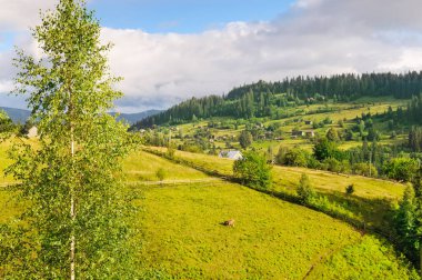 Dağlar ve akşam gökyüzünde bulutlar yamaçları. Pitoresk ve muhteşem sahne. Yer yer Karpat, Ukrayna, Europe. Kavram ekoloji koruma. Dünyanın güzelliği keşfetmek.